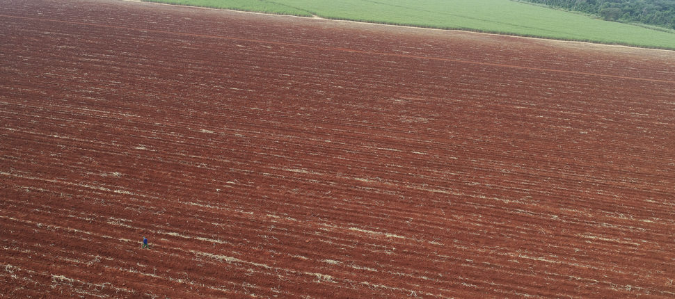 terra preparada para plantar cana