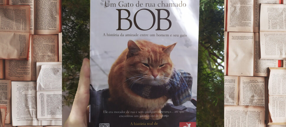 livro um gato de rua chamado bob
