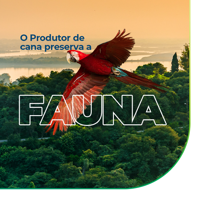 Conheça nossa fauna!