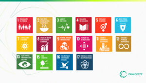 Objetivos de Desenvolvimentos Sustentáveis (ODS) alcançados: