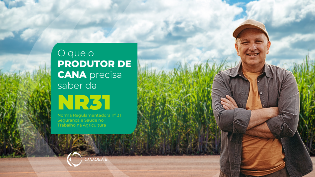 O que o produtor de cana precisa saber da Norma Regulamentadora (NR) 31 ... O que o produtor de cana precisa saber da Norma Regulamentadora (NR) 31 ...